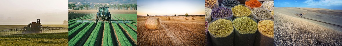 Turkmen Agriculture, Food and Beverages Tender Notices