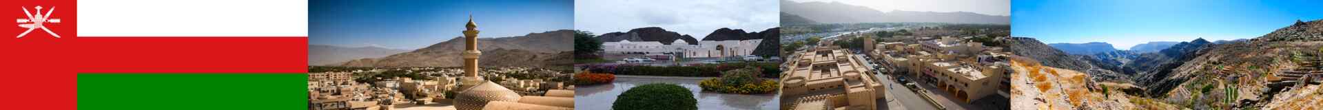 Oman Gov Tenders