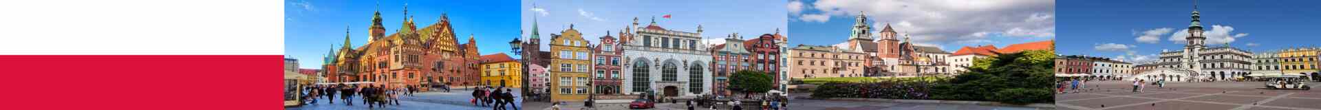 Global Poland Business Services Tenders