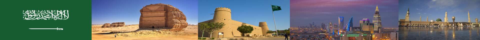مناقصات المملكة العربية السعودية