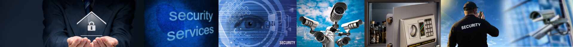 Global Security Services bids and RFP from Germany